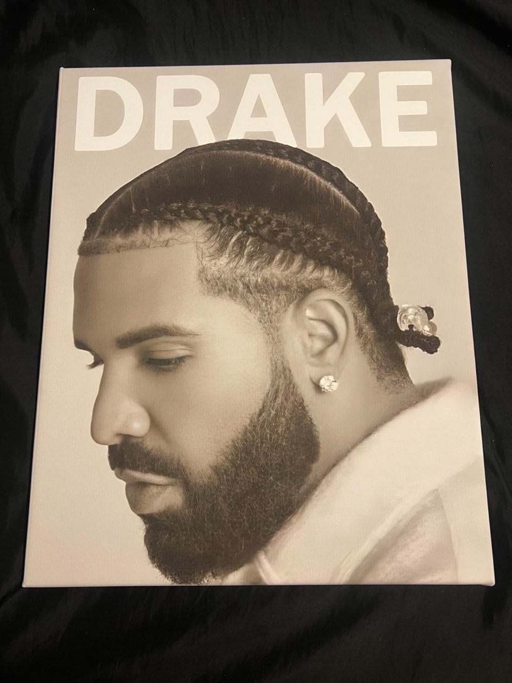 Drake Black and White Portrait Wall Art